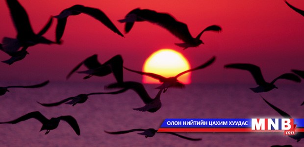 Шувууд.. / 1-р хэсэг/