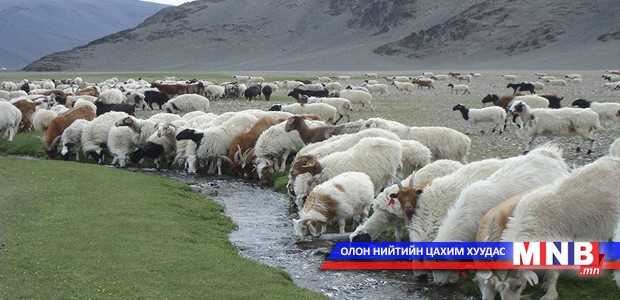 Өвөлжилтийн бэлтгэл хангахыг анхааруулж байна