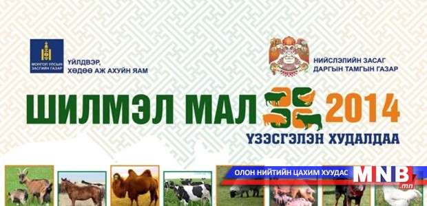 “Шилмэл мал-2014” үзэсгэлэн худалдаа болно