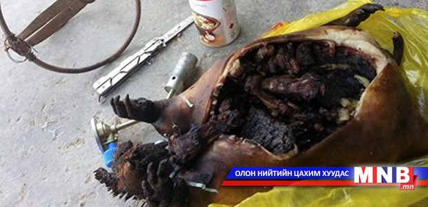 Сэрэмжлүүлэг буюу Намрын айдас