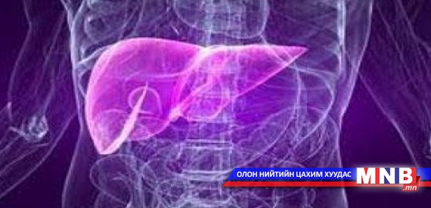 ”Эрүүл элэг” үндэсний хөтөлбөрийг танилцуулна