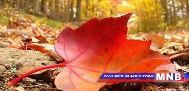 “Навч...” өгүүлэмж