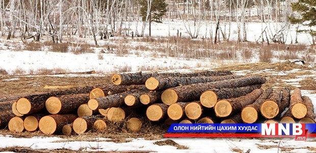 672.3 м.куб мод, модон материалыг улсын орлого болгожээ