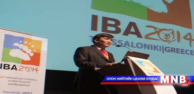 Мазаалайг хамгаалахад олон улсын түвшинд анхаарна