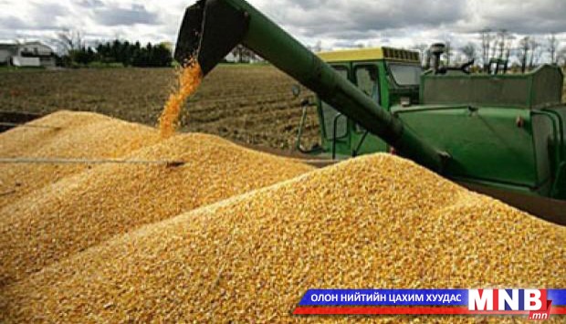 ОХУ-аас чанаргүй улаанбуудай оруулж ирсэн гэв