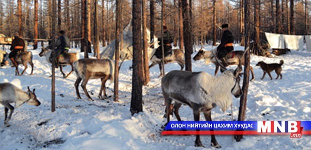 Цаатан иргэд гар утас, интернэт ашиглах боломжтой боллоо