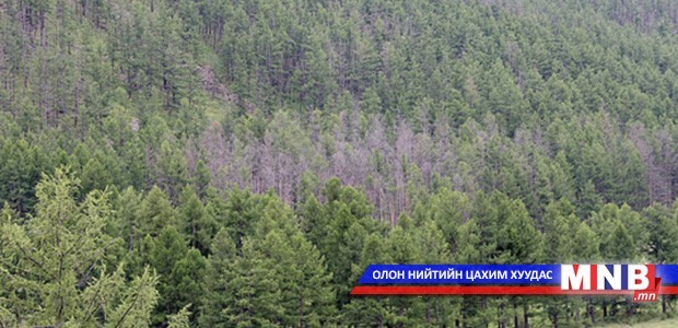 Ойн тооллого явагдаж байна