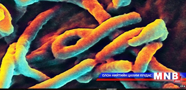 ДОХ-оос хойших хамгийн том сорилт – Эбола