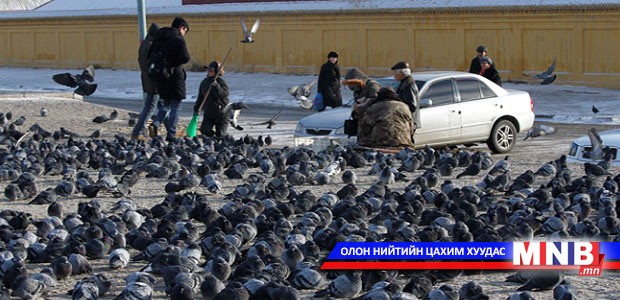 Тагтаа хооллохгүй байхыг хүсэв