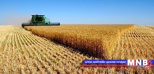 Дорнодын тариаланчид 10.4 тонн улаан буудай тушаажээ