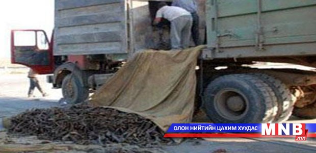 Зээрийн эвэр хилээр гаргахыг завджээ