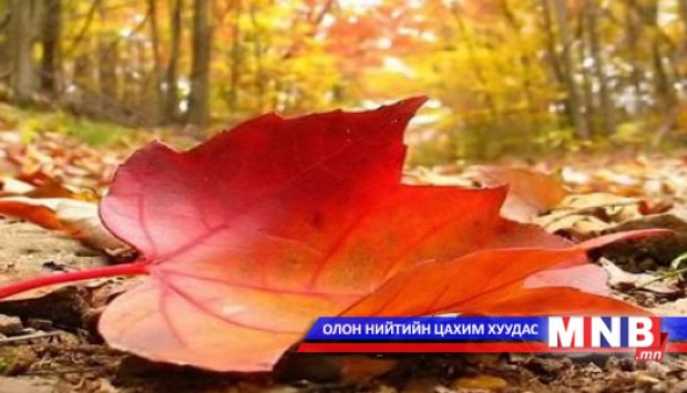 "Намрын уянга" яруу найрийн наадам болно