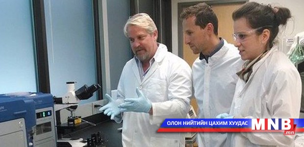 "Google" хавдар илрүүлдэг төхөөрөмж бүтээх үү?