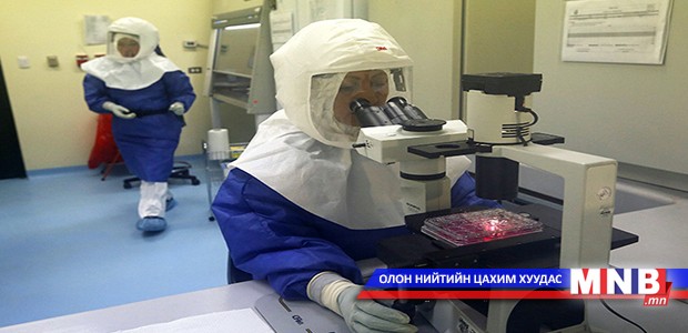 Эболагийн эсрэг вакцин энэ оны сүүлчээр бэлэн болно