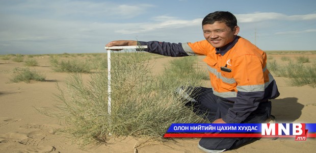 Оюутолгойн нөхөн сэргээлтийн ажил үргэлжилж байна