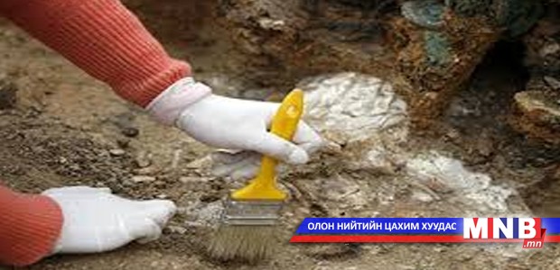 Палеонтологийн салбарын мэргэжилтнүүдийг бэлтгэх хэрэгтэй гэв