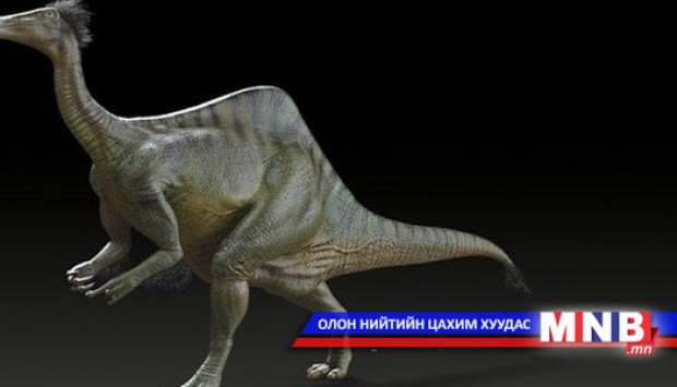 Том "гар"-т үлэг гүрвэлийн нууцыг тайлжээ