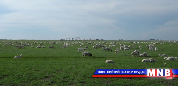 Mongolia to welcome wind farm
