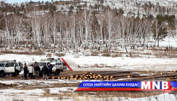 Модны хулгайтай тэмцэж эхэллээ