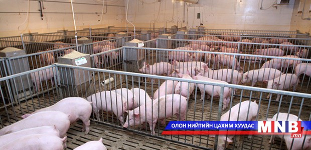 Сэлэнгэ аймгийн Баянгол суманд хорио цээрийн дэглэм тогтоожээ