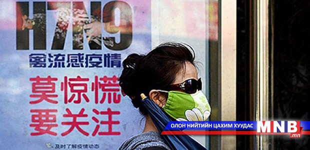 Хятад шувууны томуугийн H7N9 вирустэй иргэдийнхээ мэдээллийг задлав