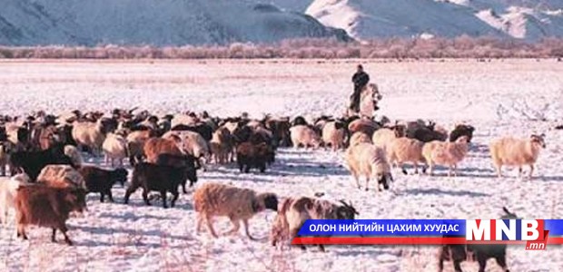 Өвөлжилтийн бэлтгэл 90 хувь хангагджээ