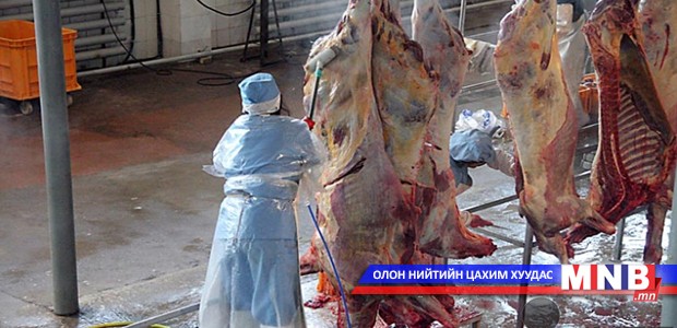 М.Галбадрах: Орос руу мах экспортлох ажил зогсоогүй