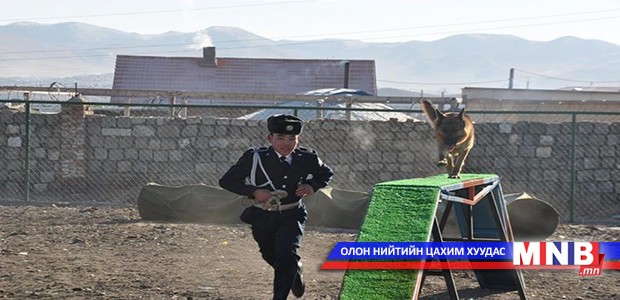 Эрэлч нохойн албаны 70 жилийн ойн арга хэмжээ боллоо