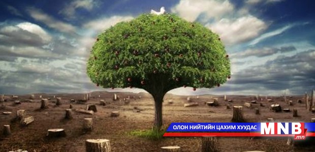 Чи тийм ухаантай юм бол яагаад ядуу юм бэ?