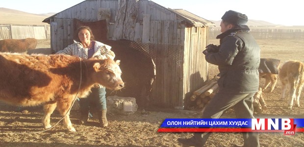 Малын хулгайгаас урьдчилан сэргийлэх арга хэмжээ авчээ