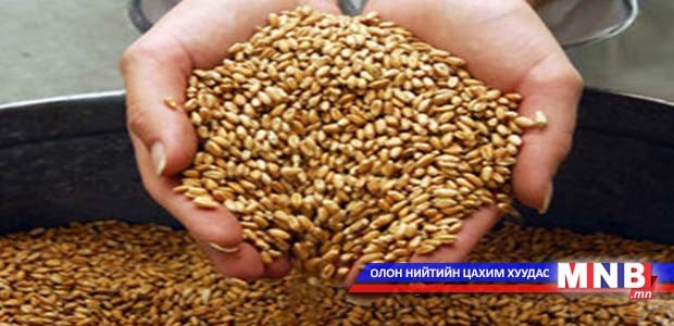 Ирэх оны тариалалтад 41.7 мянган тонн үр хадгалжээ