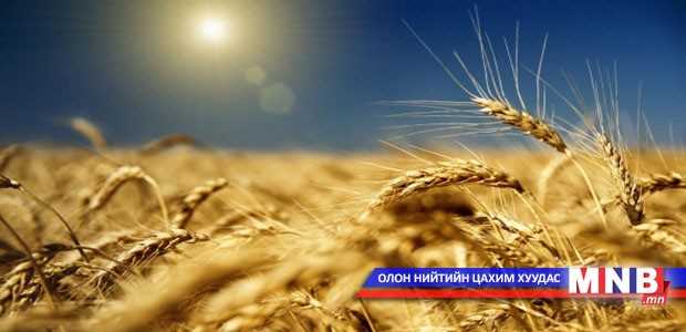 Дотооддоо шилдэг сортын үр тариалах хэрэгтэй гэв