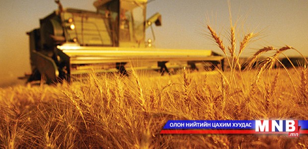 Дарханы гурилын үйлдвэрүүд 105.5 мянган тонн хүнсний буудай хүлээн авчээ