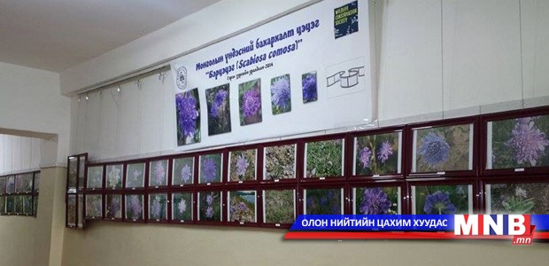 “Бэрцэцэг”-ийн шагналтнууд тодорлоо