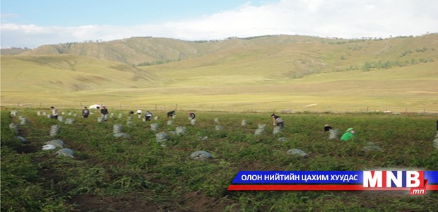 Завханчууд ургацаа хадгалах зоорьгүй байна