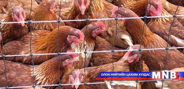 Шувууны аж ахуй эрхлэгчдийг сургалтад хамруулжээ