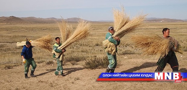 Автозамын хальтиргаа, гулгаа арилгах бодисын нөөцийг хангалттай бүрдүүлжээ