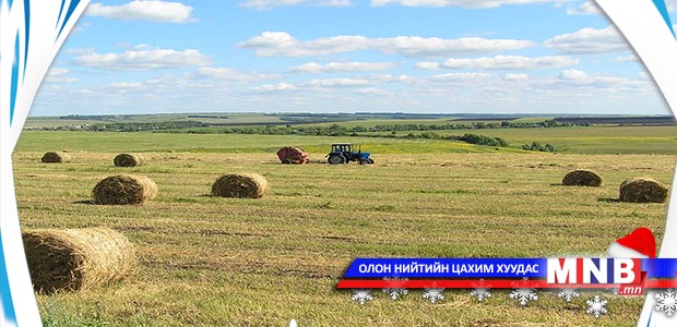 Сум дундын өвс, тэжээлийн фонд байгуулжээ