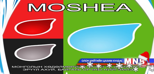Монголын хөдөлмөрийн аюулгүй ажиллагаа, эрүүл ахуй, байгаль орчны нийгэмлэг нэг нас хүрлээ