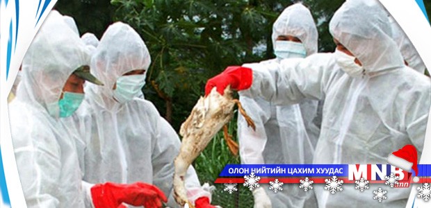 Шувууны гаралтай бүтээгдэхүүн импортлохгүй байхыг анхаарууллаа