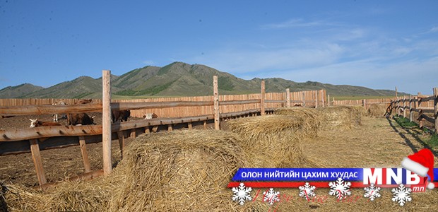 Багануурын мал, малчид тавтай өвөлжинө