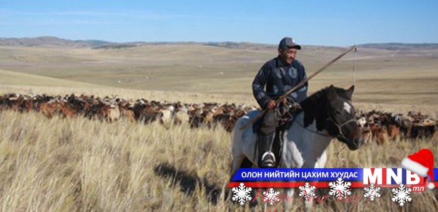 Нийт нутгаар цасгүй, мал усаар хашигдаж байна
