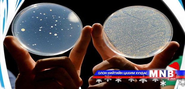 Бичил биетний судалгааны хөгжлийг тодорхойлох хурал болж байна