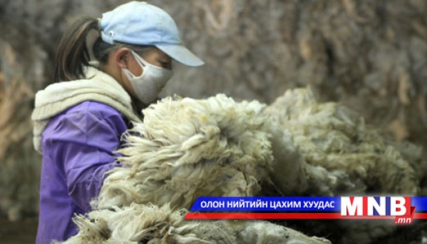Ноосоор барилгын дулаалга үйлдвэрлэнэ