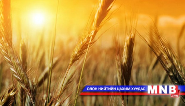 Газар тариалангийн салбарт анхаарна