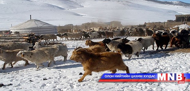 Мөрөн сумын малчид зургаан суманд оторлож байна