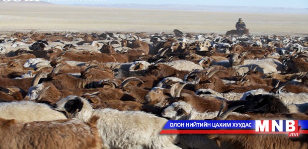 Цөөн малтай гээд айл бүр ядуураагүй