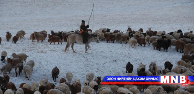 Улсын сайн малчин удахгүй тодорно