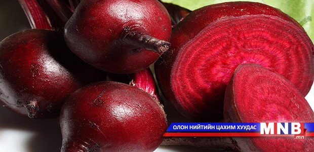 Урт наслахыг хүсвэл...