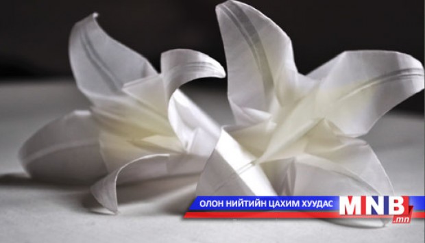 Цаасаар урласан сонирхолтой бүтээлүүд /фото/